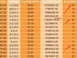 什么基金比较靠谱（什么基金比较稳）