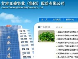 600108（600108亚盛集团怎么样？）