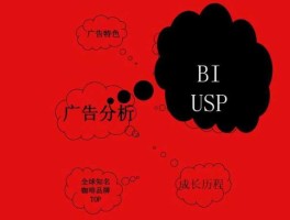 竞争对手英文（USP的英文全称？）