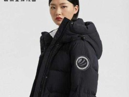 波司登股份有限公司（波司登羽绒服是哪个国家的品牌？）