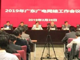 广电电气赵淑文美女（广电电气董事长）