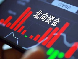 300256（北向资金是什么意思300256？）