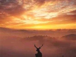 002113？奔驰气囊b002113故障码解决方法？