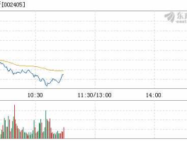 002405，002405股票后R什么意思？