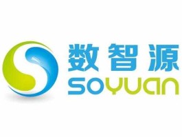 杭州数源科技（数源科技主营业务？）