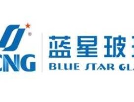 蓝星化工新材料股份有限公司，蓝星集团是做什么的？