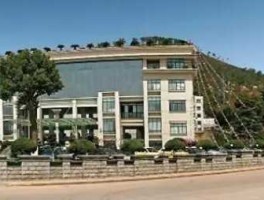 浙江龙盛控股有限公司 中新嘉善现代产业园有哪些企业？