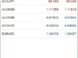 环球外汇网（安卓版外汇mt4下载正版官网）