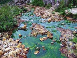 绿日，济南的绿日画材跑到哪里去了？