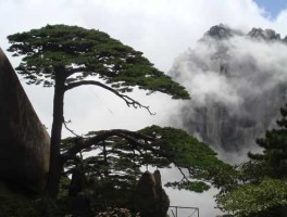 黄山自助游，国庆去黄山合适吗？