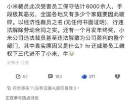小米事件 小米公司裁员事件详细介绍？