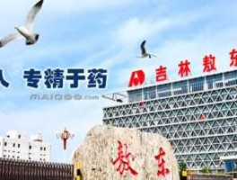 吉林敖东延边药业股份有限公司（吉林市哪里有好的参茸卖？）