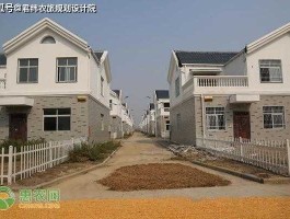 新农开发吧 2022年国家还建设新农村吗？