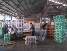 温氏公司，永州温氏畜牧有限公司怎么样？