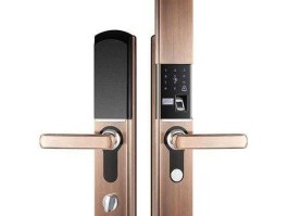 605268？什么指纹门锁最好？