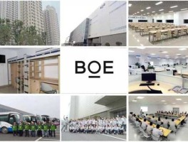 京东方很难进吗（京东方要求高吗）