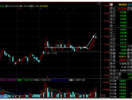 002061江山化工？中海系地产股有哪些？