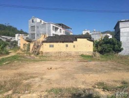 茂名政府？如何向茂名市政府举报信宜市怀乡镇木辂村没有中巴出入？