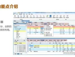 新点软件（新点软件能查询到预算是一把锁做的吗？）