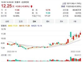 服装纺织股多股涨停（荣耀借壳概念股及上市公司有哪些？）