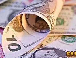 100美元如何炒外汇(100美元如何炒外汇赚钱)