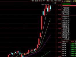 002228 中小板各小行业的龙头股各有哪些呢？