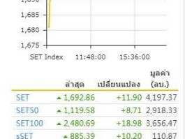 泰国股市总值（泰国股票查询）