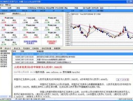 中国外汇交易软件(中国外汇交易软件哪个好)