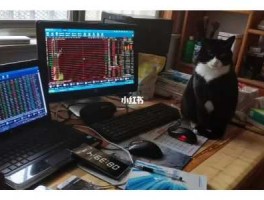 猫预测股市（猫概念股）