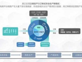 垂直电商网站 垂直电子商务运营平台是什么意思？
