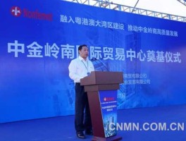 王碧安中金岭南（中金岭南公司党委书记王碧安）