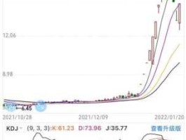 开开实业股票 slmce是什么牌子？