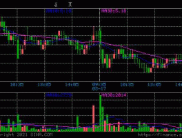 股票600500，中证100指数里面的一共有哪些股票？
