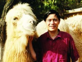 李东华 金芒星作者？