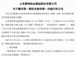 晨鸣纸业股票 晨鸣纸业怎么样？
