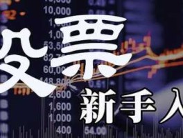 入股市新手（新人入股市）