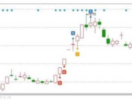 股市小虾米马志龙博客（股市小虾米 马志龙）