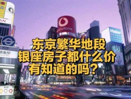 东京房价多少钱一平米(东京银座房价多少钱一平)
