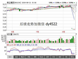 601216股票（君正集团是做什么业务的？）