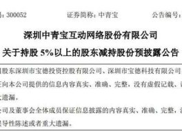 中青宝股票代码（股票代码咋填？）