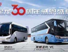 600686股票 厦门金龙客车公司介绍？