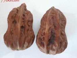 核桃价格 核桃市场价格多少了？