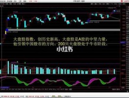 什么叫大盘股，什么叫大盘股？