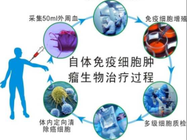 细胞免疫治疗？什么是淋巴细胞主动免疫治疗呢？