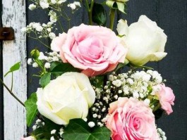 宝宝树估值 黄花梨树，几十棵，不是特别大，最大的直径有。砖头侧面大。有人买吗估值多少呢？