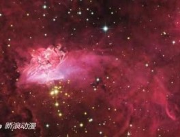 www870000com（光年是什么单位？）