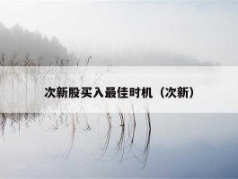 次新股买入技巧（次新股 技巧）