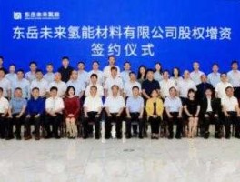 东岳硅材（东岳硅材和华熙生物有什么关系？）