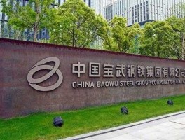 宝钢股票 长江电力中国石化中国联通宝钢股份鞍钢新轧武钢股份粤高速民生银行股票代码？