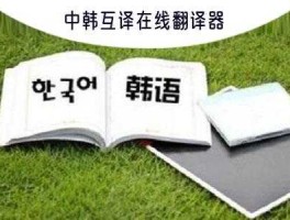 中韩翻译在线(百度中韩翻译在线)
